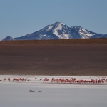 Uyuni-Tour Teil 2: bunte Lagunen im Südwesten von Bolivien Kitesurfen