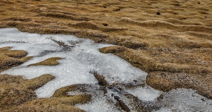 Uyuni-Tour Teil 3: magische Spiegelungen auf dem Weg zum Salzsee Uyuni