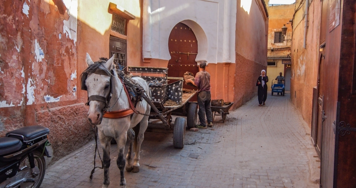Pferdekarren in Marrakesch