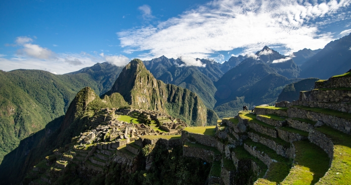 Terrassen für Landwirtschaft in Machu Picchu