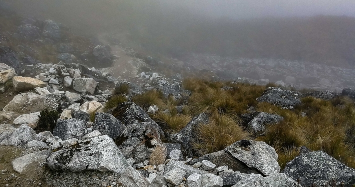 Salkantay Pass im Nebel