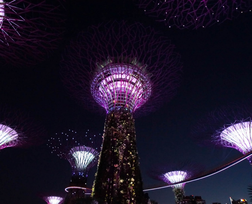 Beleuchtete Bäume im Gardens by the Bay in Singapur