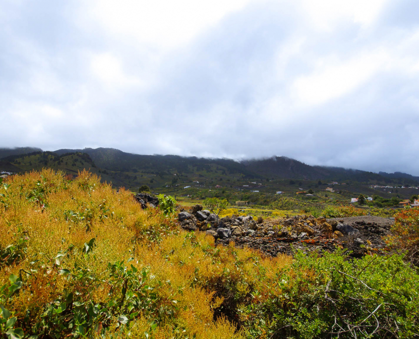 Vulkanlandschaft in Las Manchas