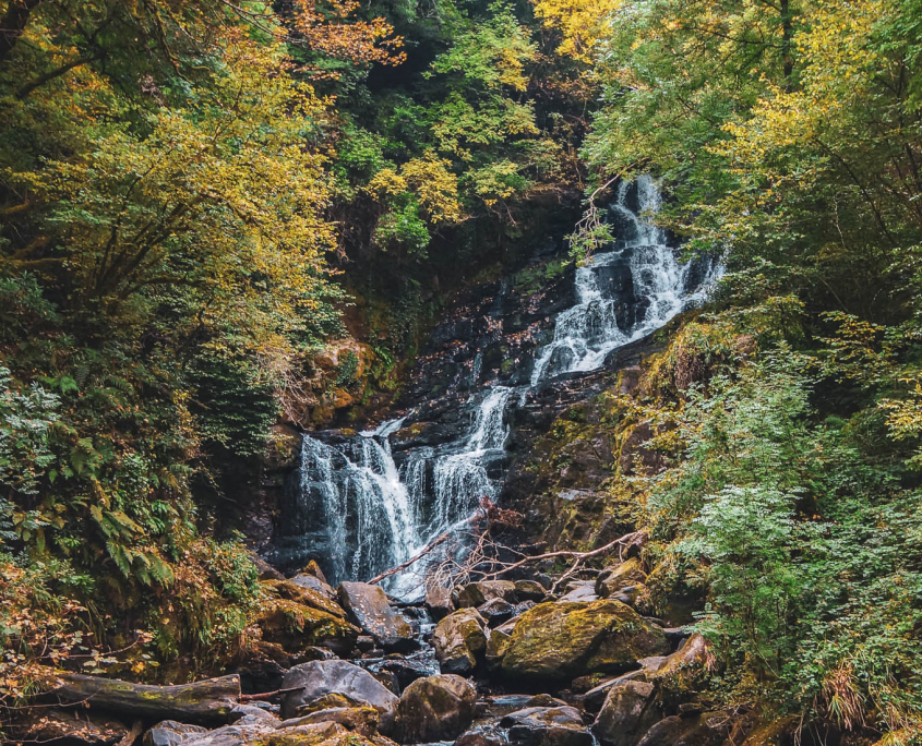 Torc Wasserfall im Killarney National Park